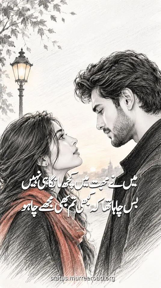 Main ne mohbat main kuch mangha he nahi, bus chaha tha ke kabhi tum bhi mujhe chaoo