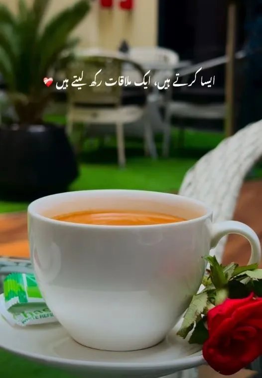 aisa kartay hain aik mulqat rakh letay hain