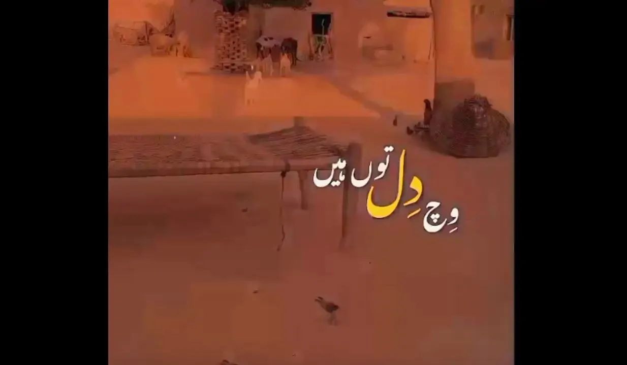 Sanu pasand sada dhool ae