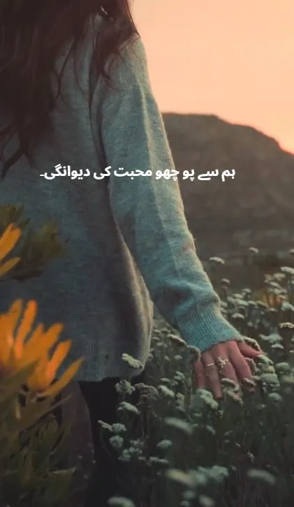ہم سے پو چھو محبت کی دیوانگی۔