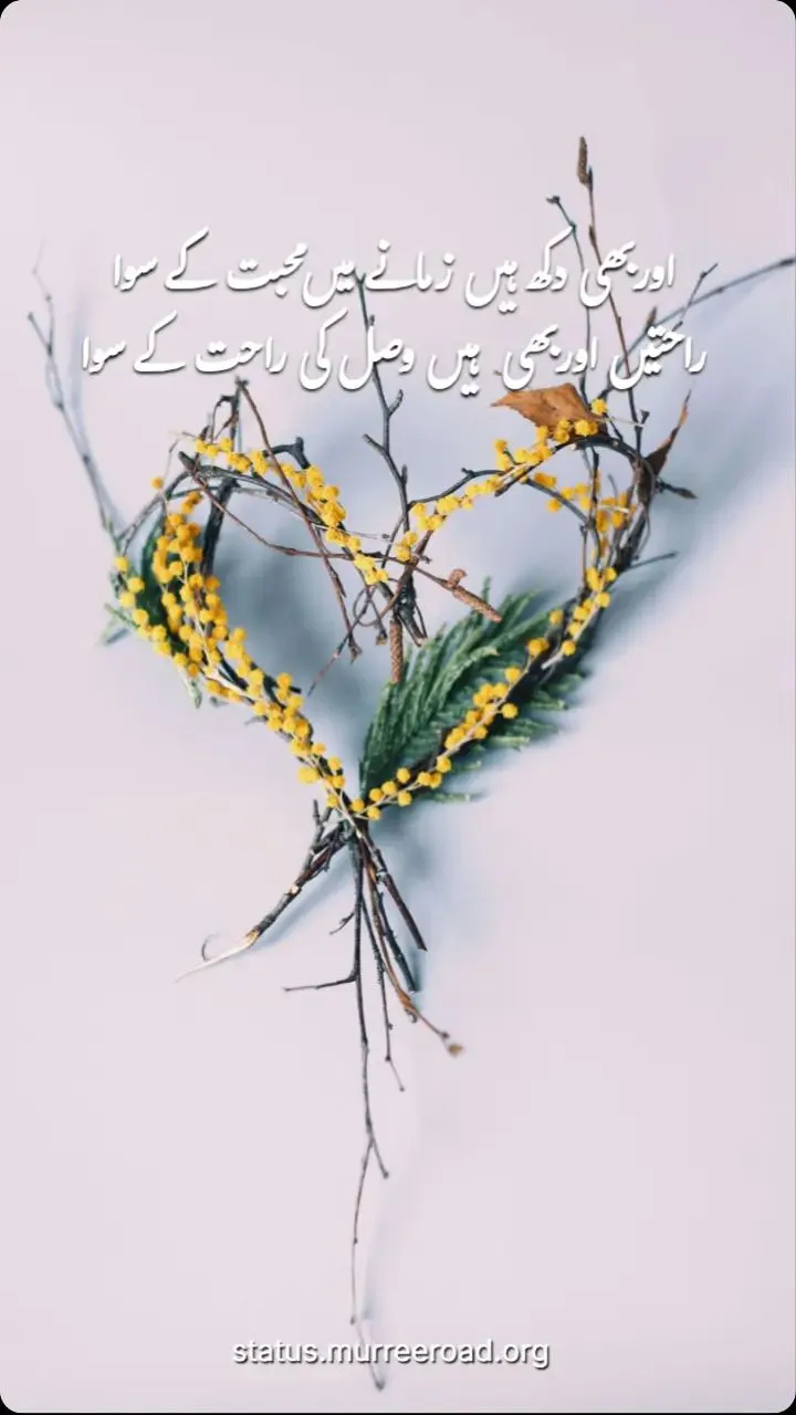 اور بھی دکھ ہیں زمانے میں محبت کے سوا راحتیں اور بھی ہیں وصل کی راحت کے سوا