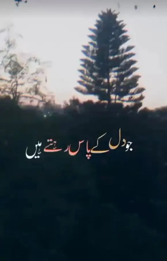 Jo Dil Ke Paas Rehte Hain