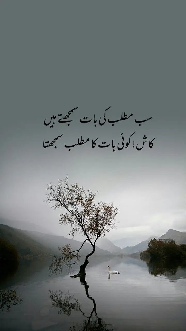 Sab matlab ki batt samjhtay hain, kash koi baat ka matlab samjhta