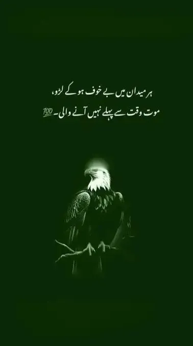 her meedaan main bakhoof ho ke laro