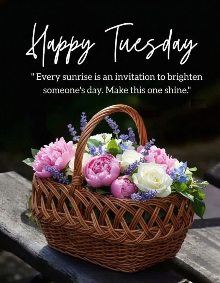 Happy Tuesday