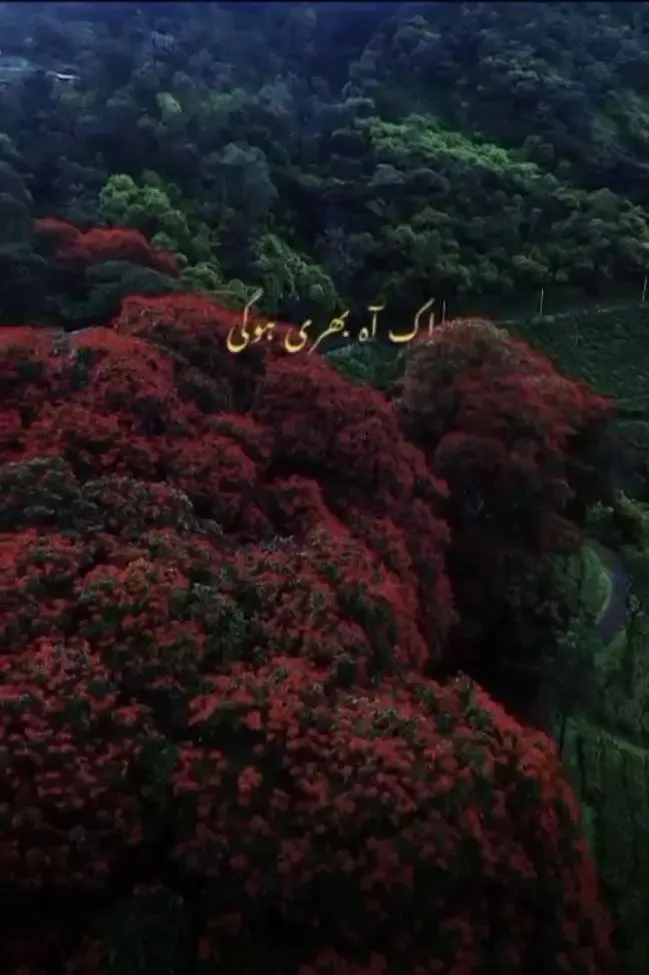 Ek aah bhari hogi, hamne na suni hogi Jaate jaate tumne, awaaz to di hogi
