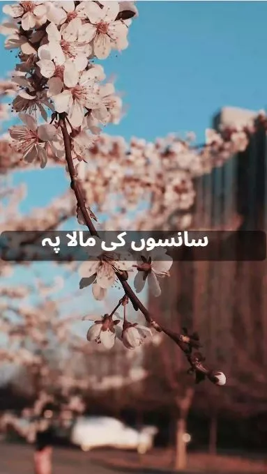 سانسوں کی مالا پہ سِمروں میں پی کا نام