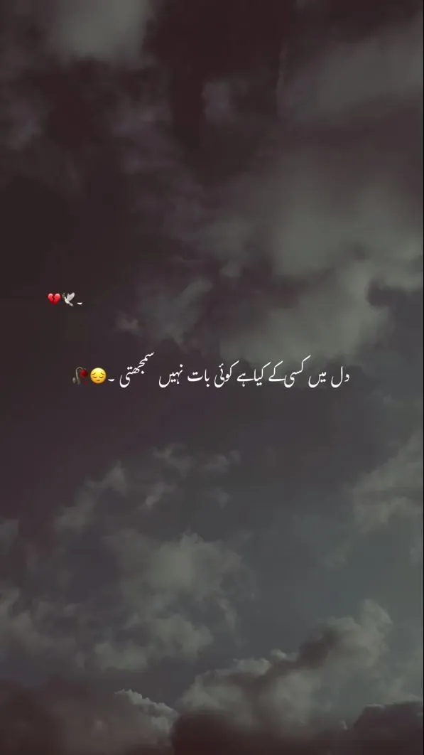 پتھر کی ہے یہ دنیا جذبات نہیں سمجھتی