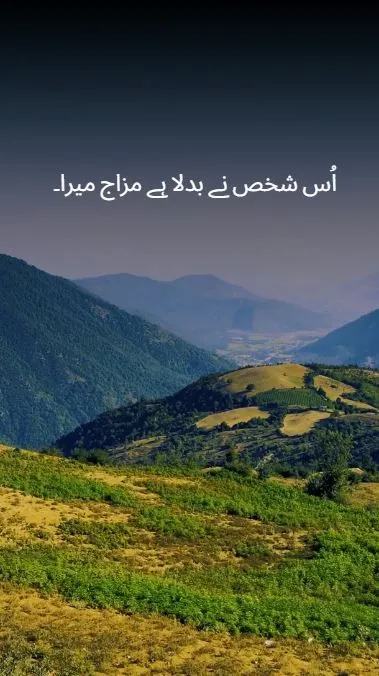 اُس شخص نے بدلا ہے مزاج میرا وفادار اب بھی ہوں  مگر محبت چھوڑ دی میں نے 