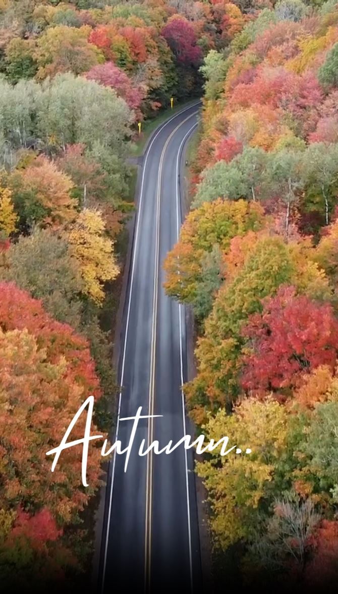 Red Orange Organic Autumn Natural
