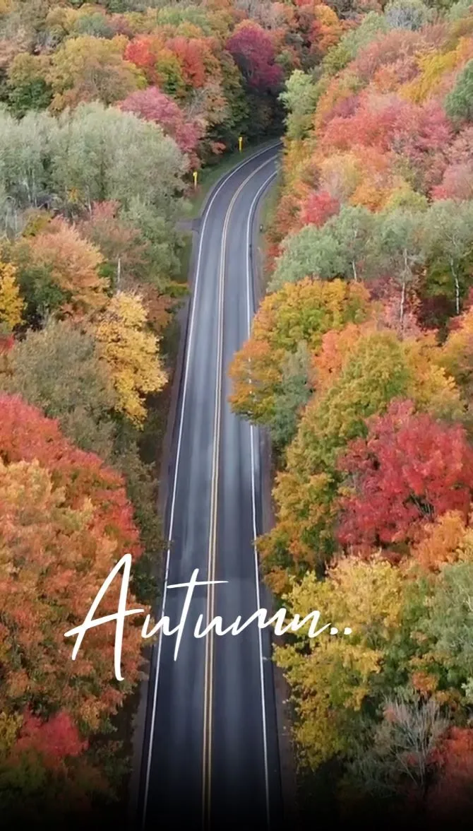 Red Orange Organic Autumn Natural