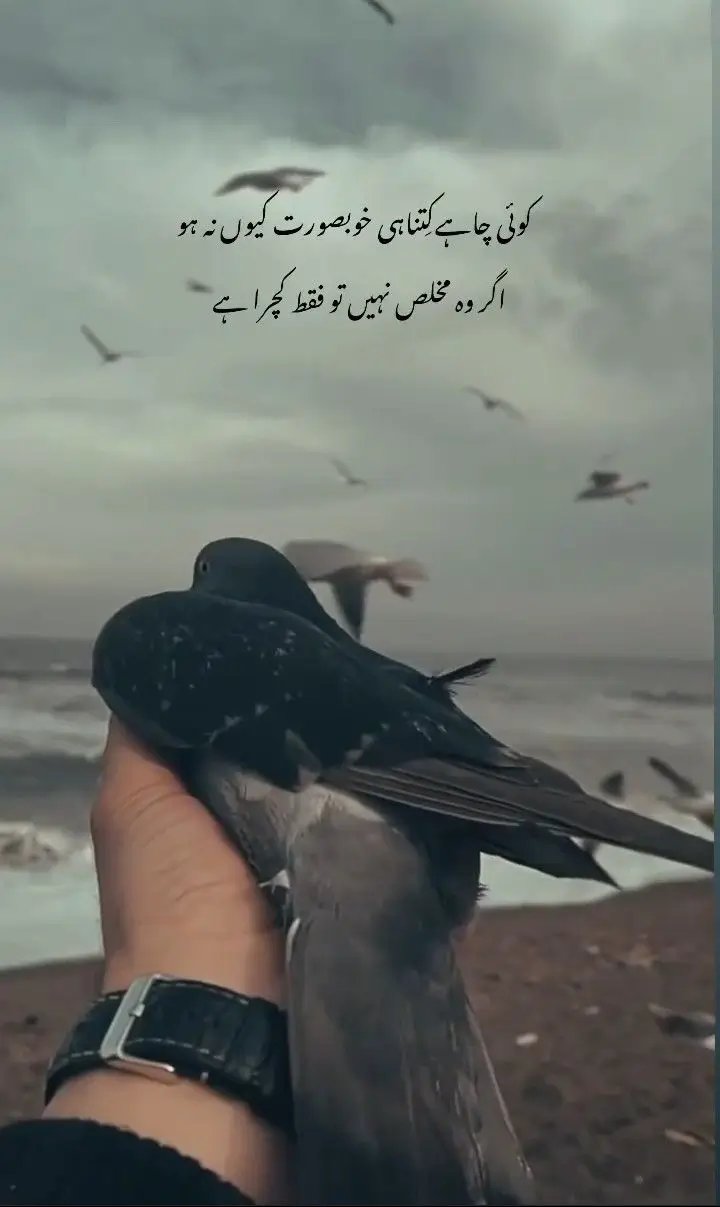 Koi chahay kitna he khubsurat kion na ho, ager mukhlis nahi tu kchra hai