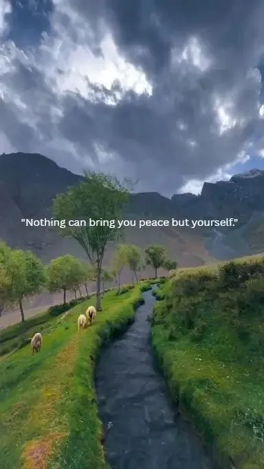 \"Nothing can bring you peace but yourself.\"