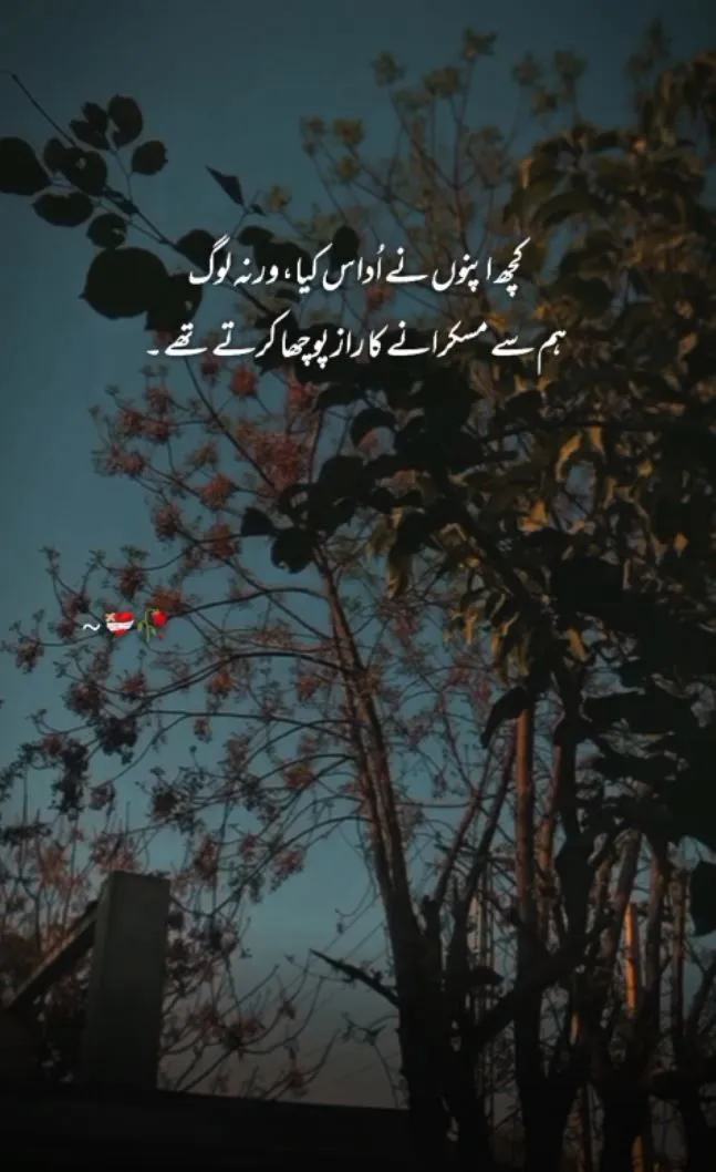 kuch apnoon ne udas kia verna loogh hum se muskranay ka raaz pocha kartay thay