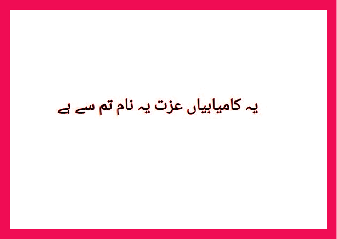 ANP1